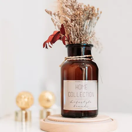 Appartement Stylisches Mit Schlafzimmer & Wohnzimmer Coblence